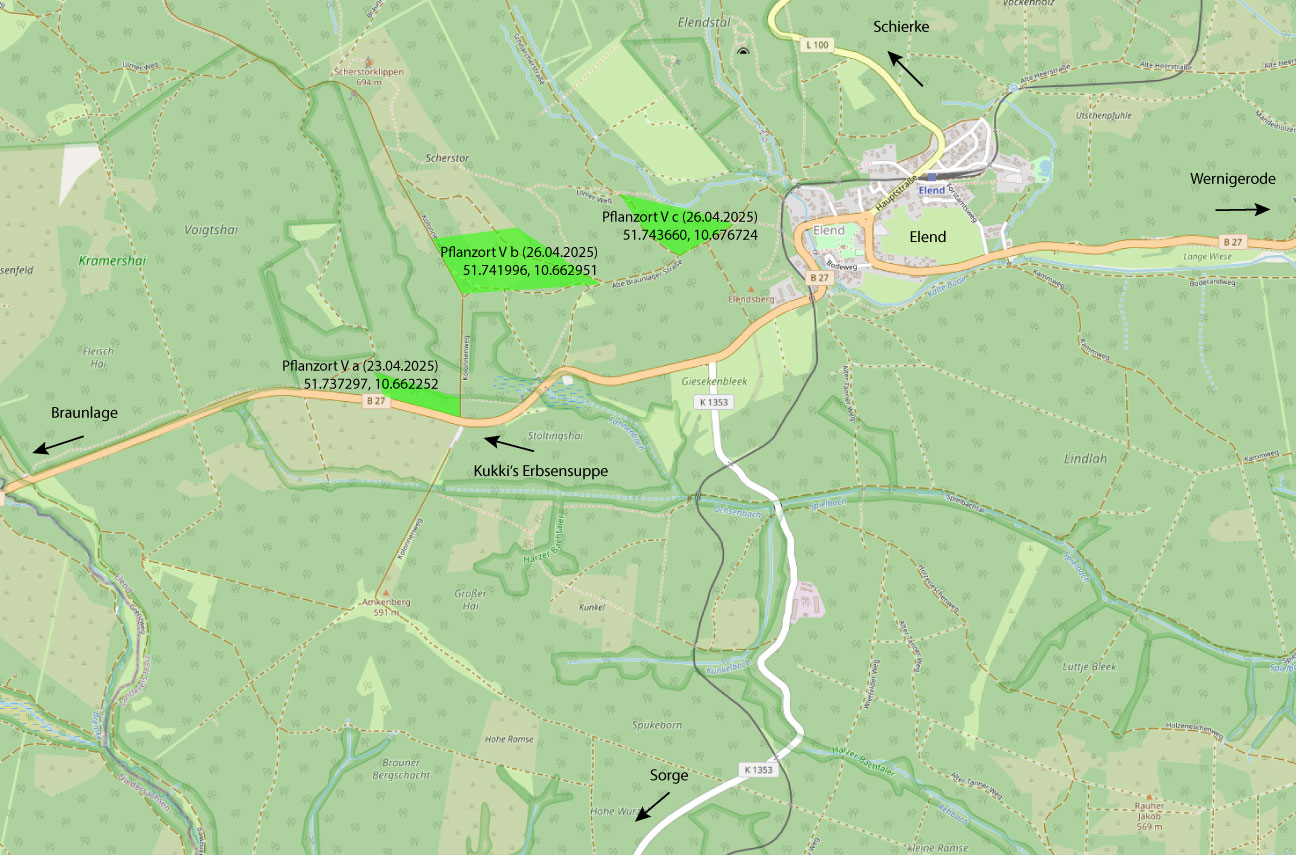 map5 Pflanzort 19.04.2024