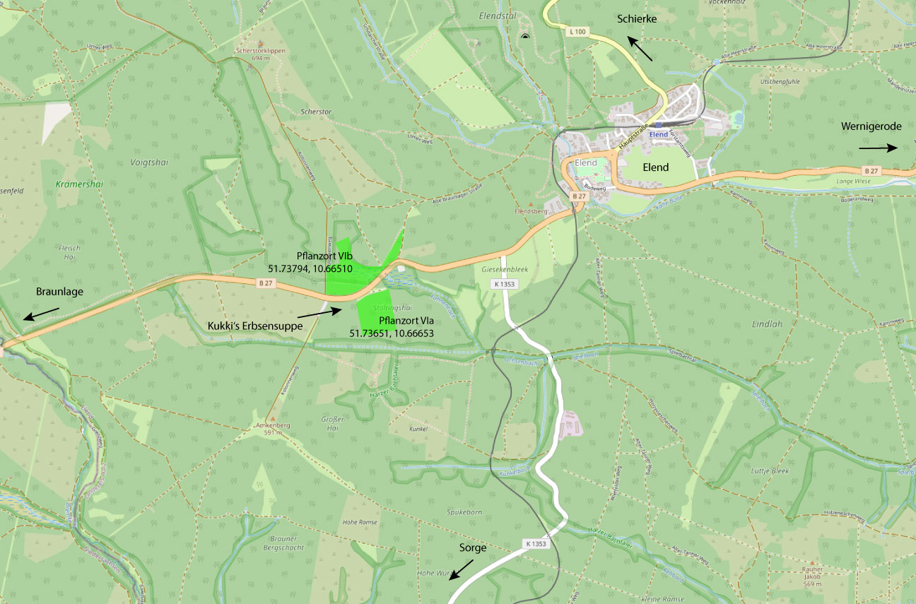 Pflanzort 19.04.2024